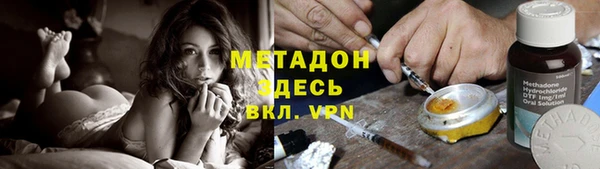 прущие грибы Жердевка