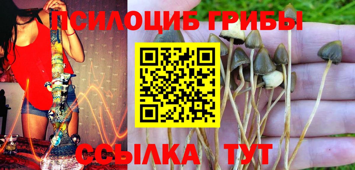 Псилоцибиновые грибы MAGIC MUSHROOMS  Вход с VPN  Снежинск 